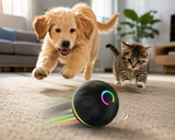 Friendly Paws™ Smart Ball